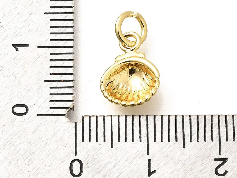La Petite Epicerie Conque bedel schelp verguld