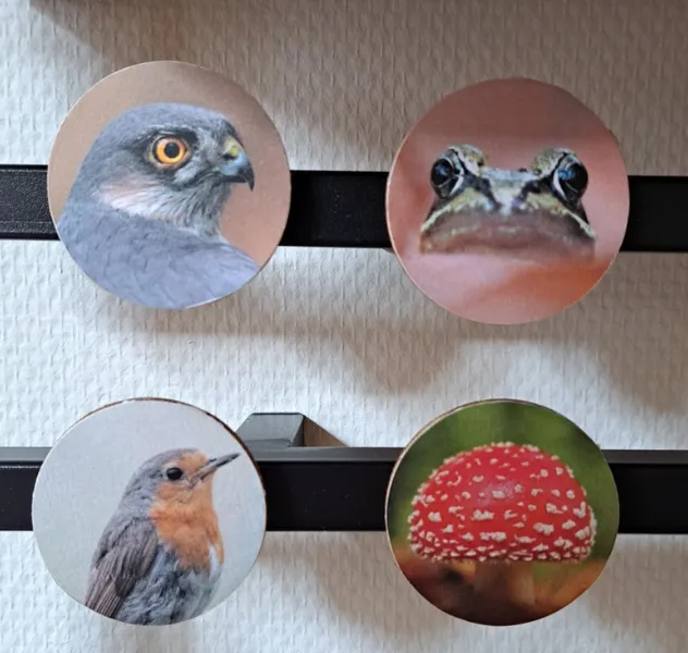 Astrid Brouwers decoupage lijmlak 100ml laklijm
