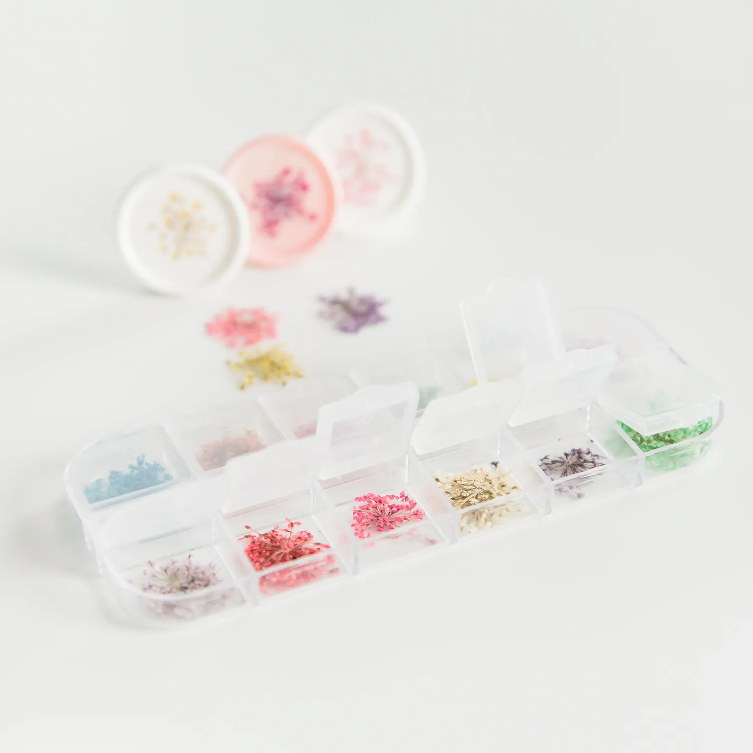 Jessy at Sea Spring Flowers droogbloemen 24 stuks mini
