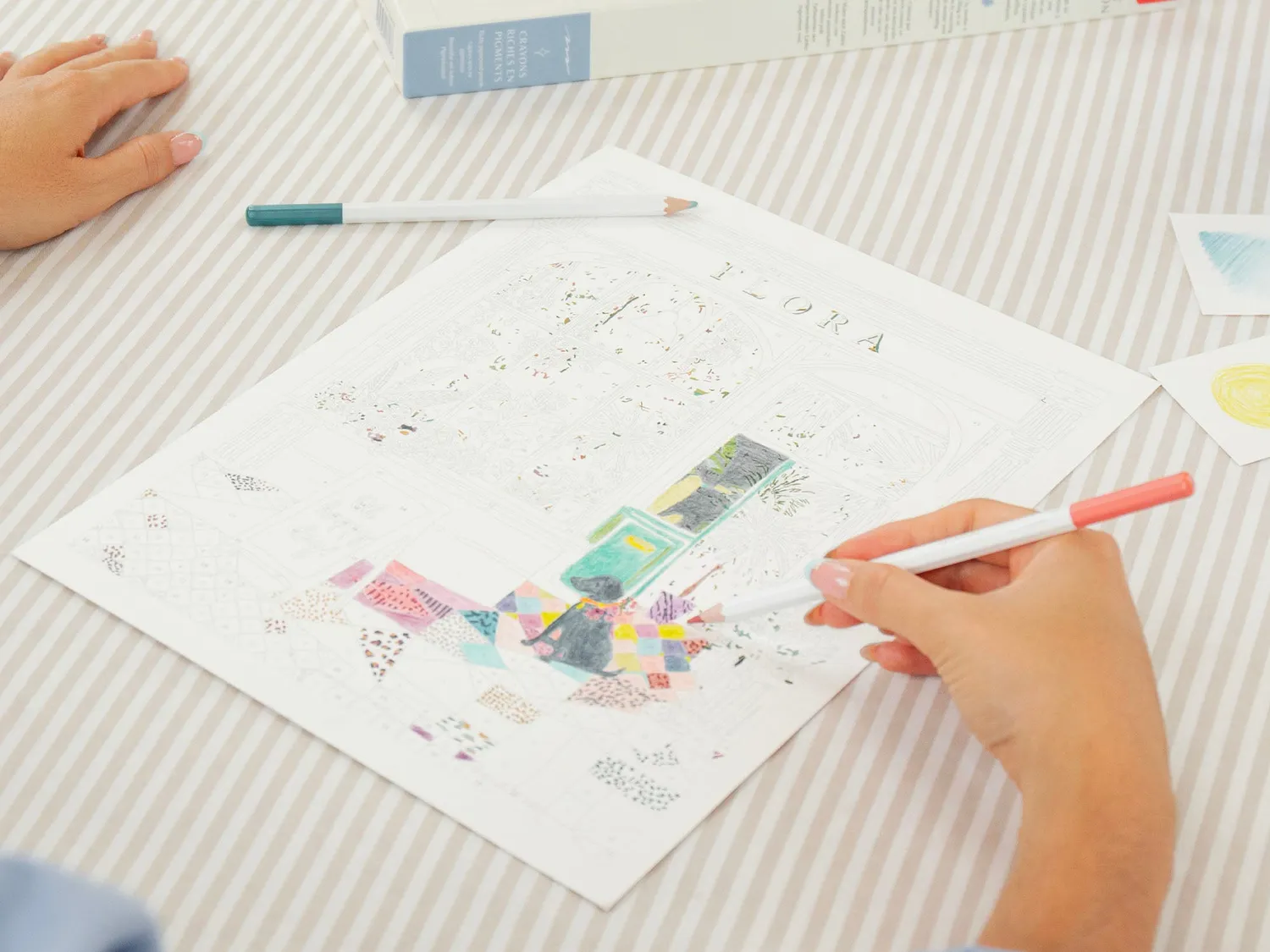 Petit Crayon Flora kleuren-op-nummer set 36 potloden