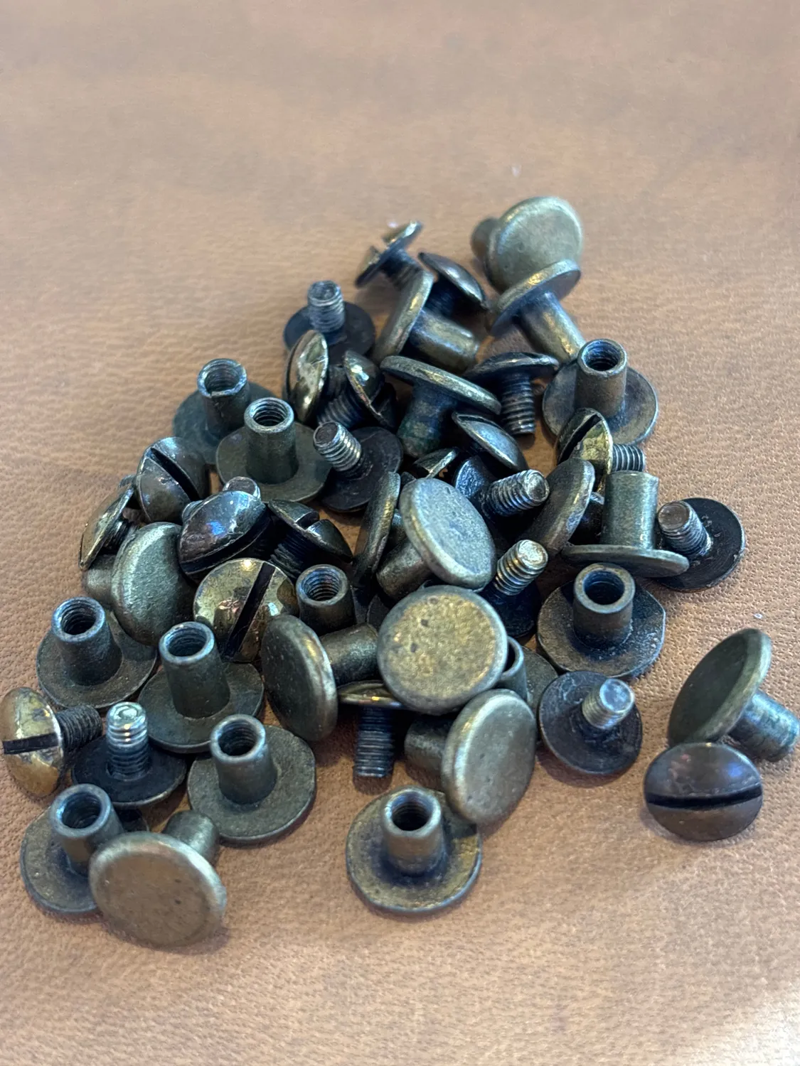 Leather House Chicago Screws boekschroeven 25 stuks goud losneembaar