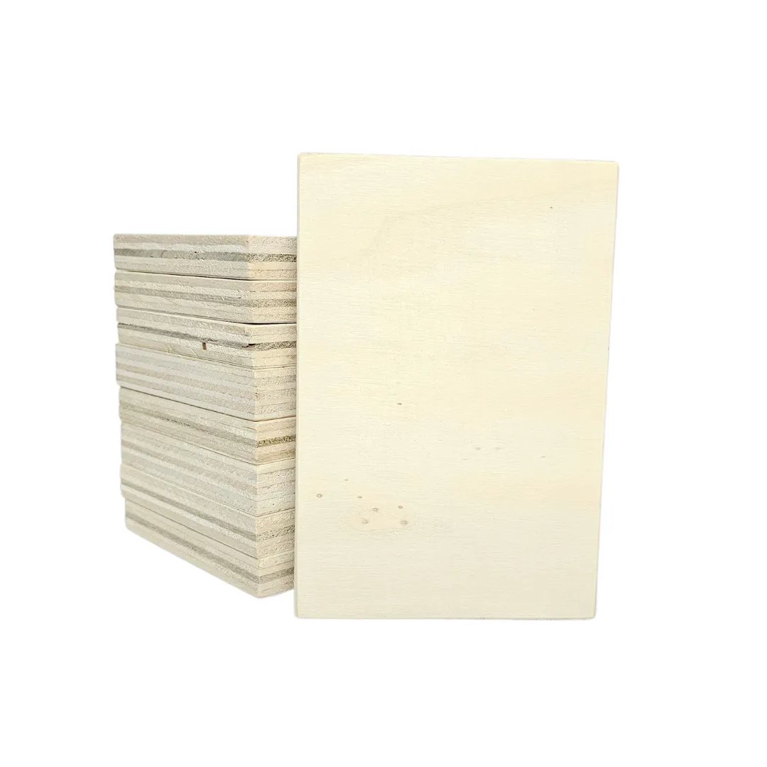 Astrid Brouwers fotoblok populierenhout 10x15 cm blanco