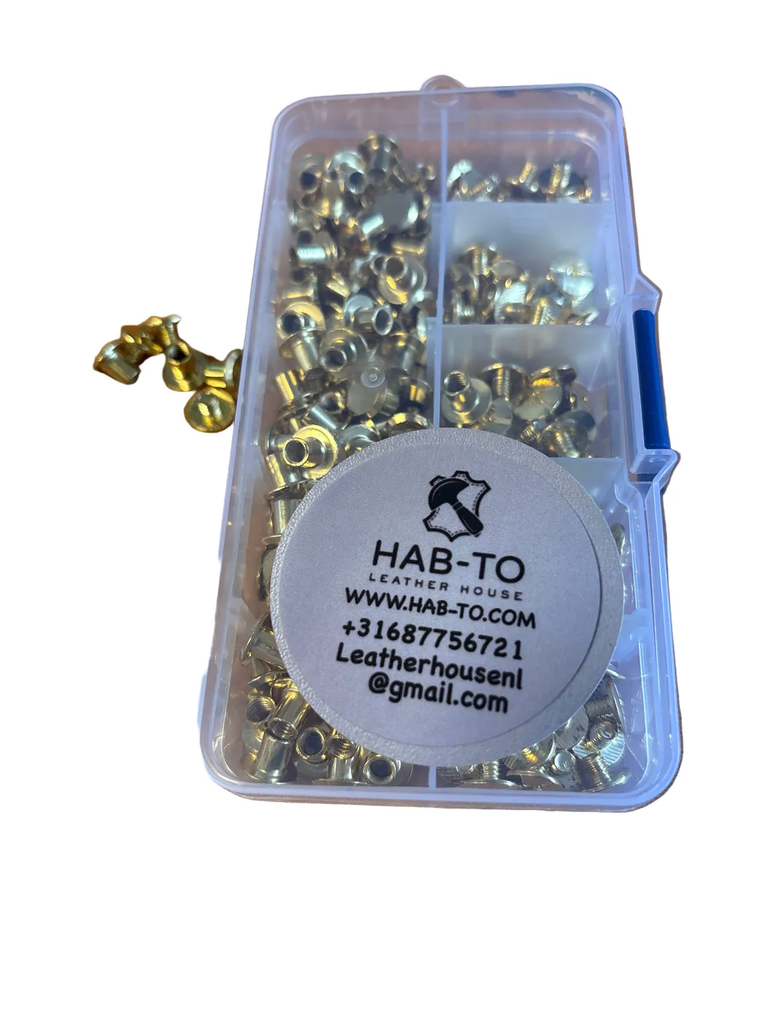 Leather House Gold Chicago Schroeven 50 stuks goud