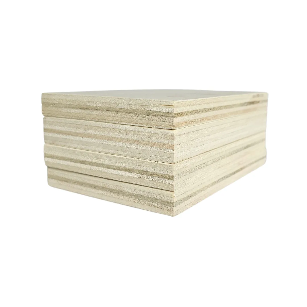 Astrid Brouwers fotoblok populierenhout 10x15 cm blanco