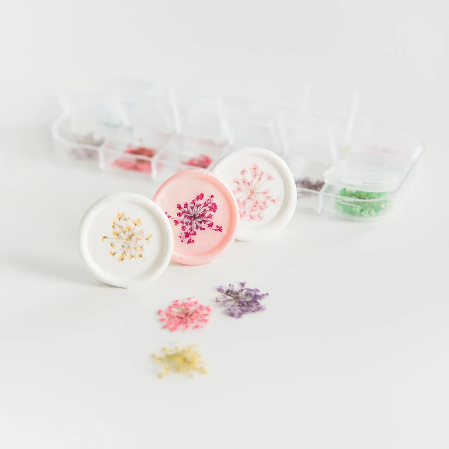 Jessy at Sea Spring Flowers droogbloemen 24 stuks mini