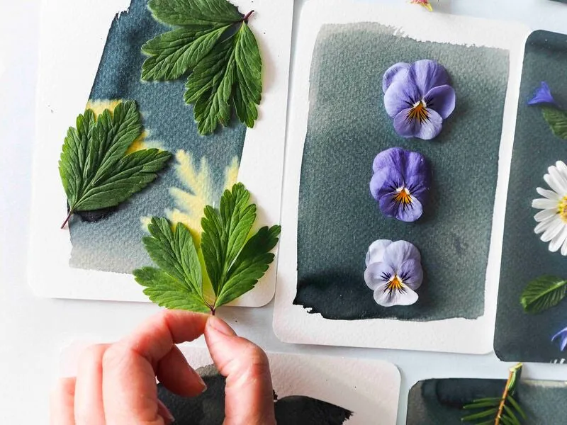 La Petite Epicerie cyanotype pakket blauwdruk DIY set