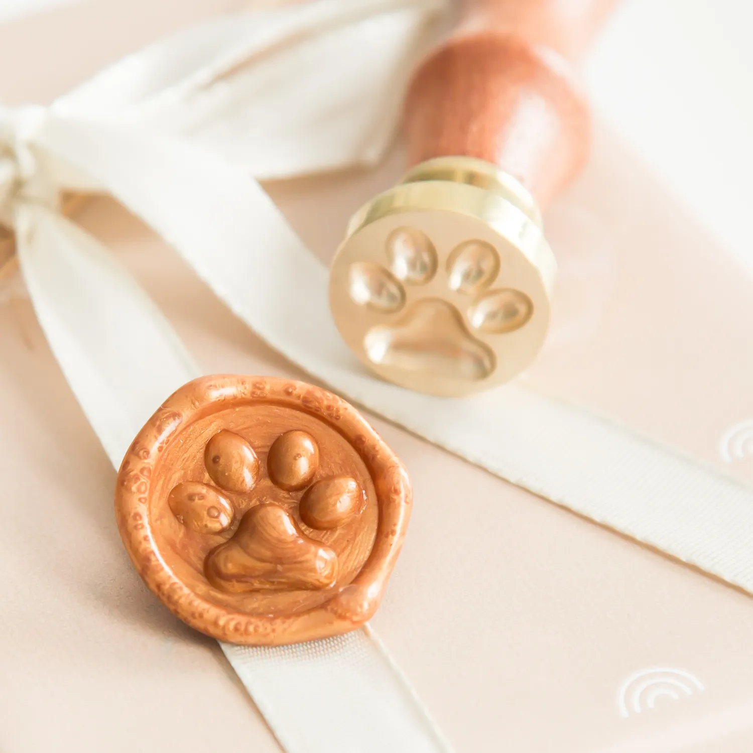 Jessy at Sea 3D Paw zegelstempel 20 mm hondenpoot kattenpoot