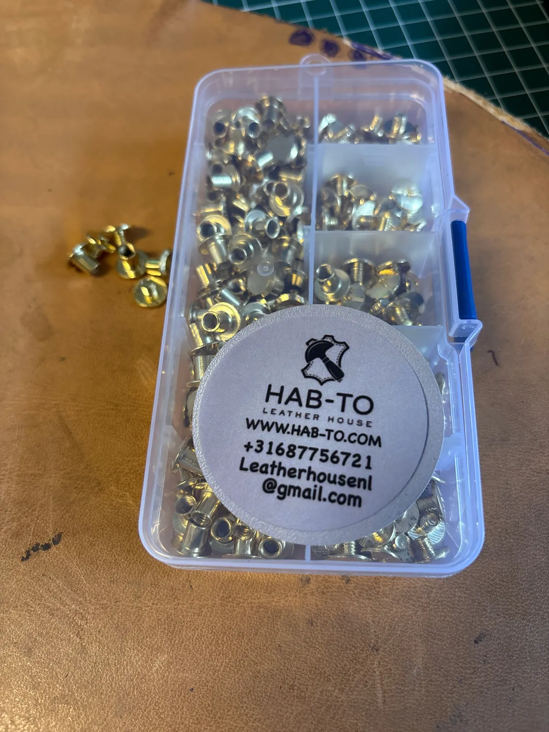 Leather House Gold Chicago Schroeven 50 stuks goud