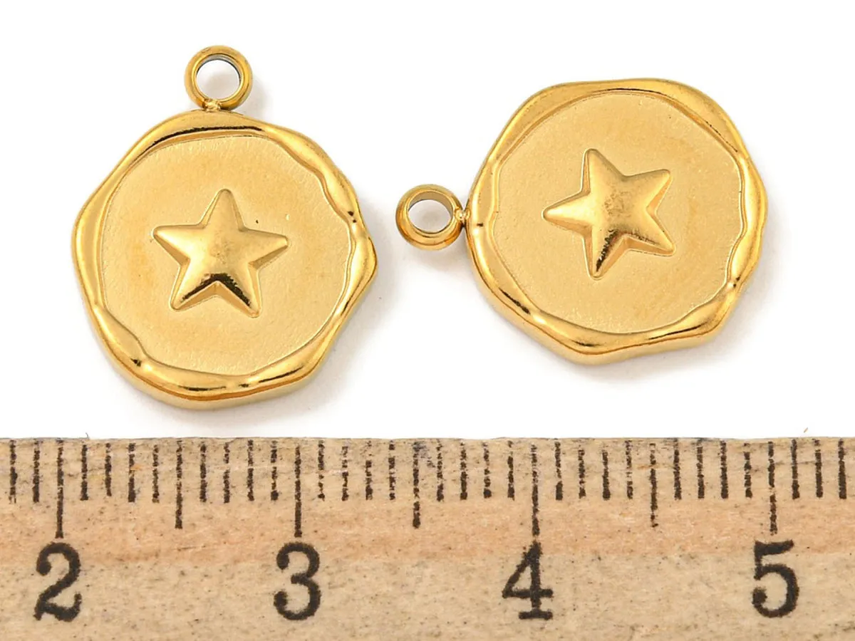 La Petite Epicerie hanger rond ster rvs goud 16 mm per stuk