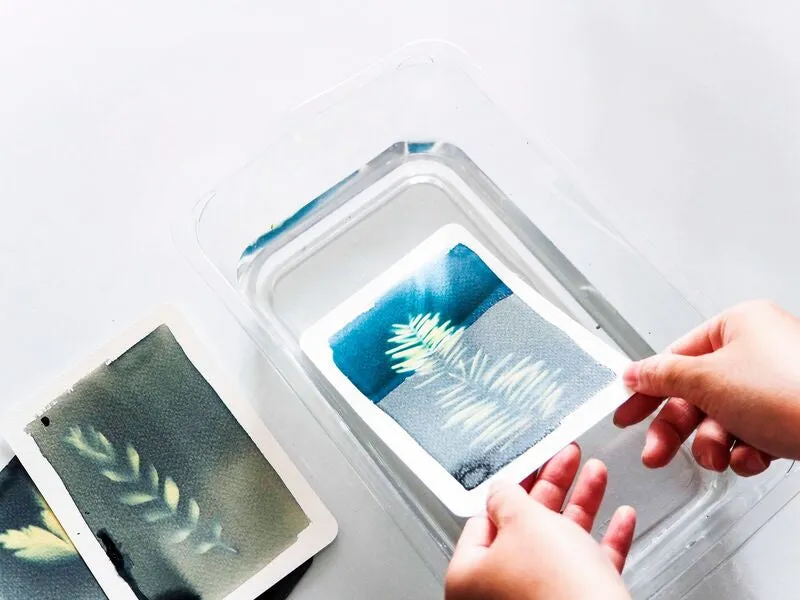 La Petite Epicerie cyanotype pakket blauwdruk DIY set