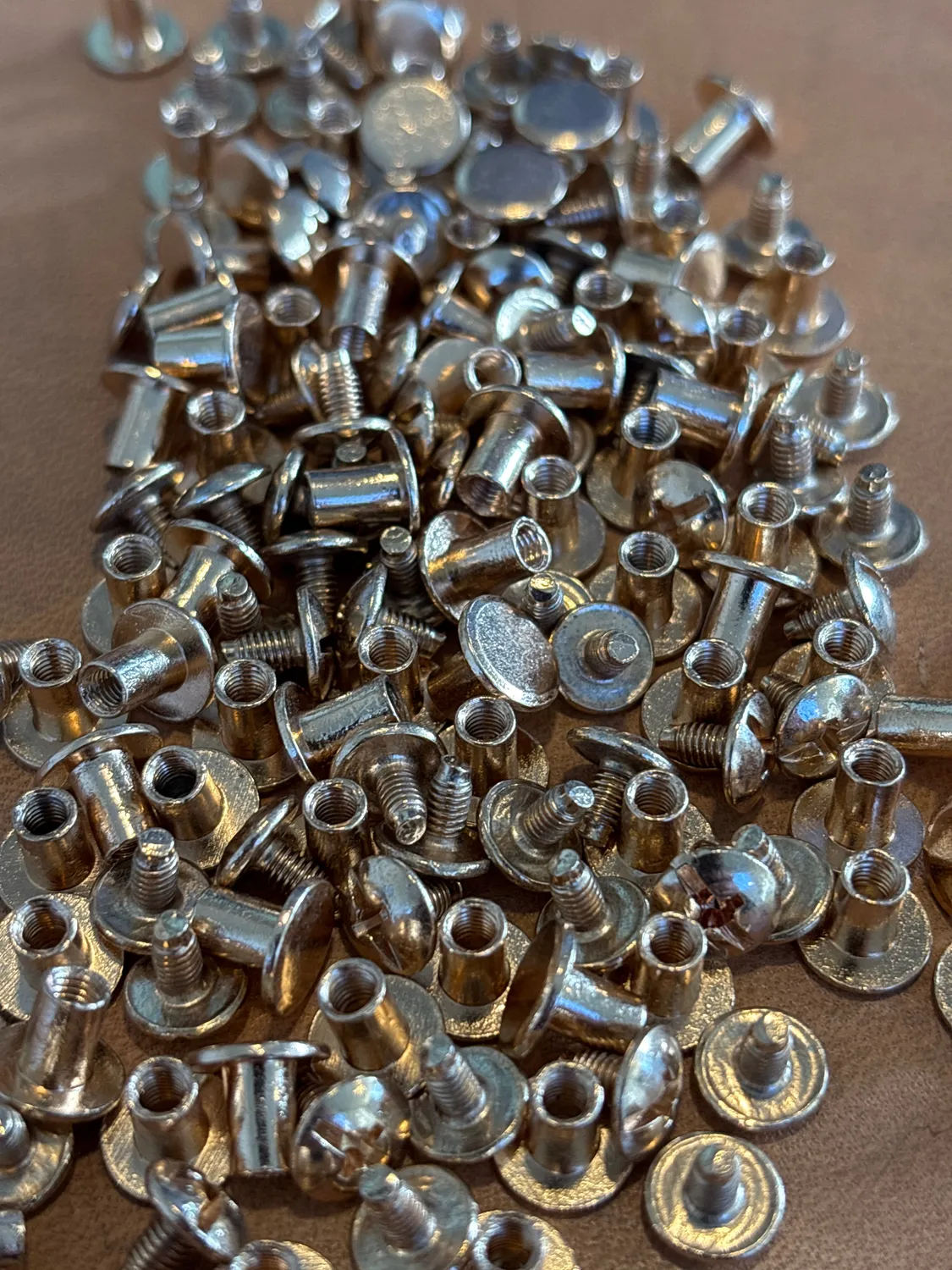 Leather House Chicago Screws boekschroeven 25 stuks goud losneembaar