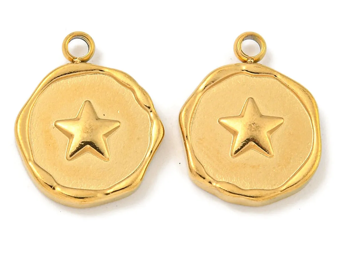 La Petite Epicerie hanger rond ster rvs goud 16 mm per stuk