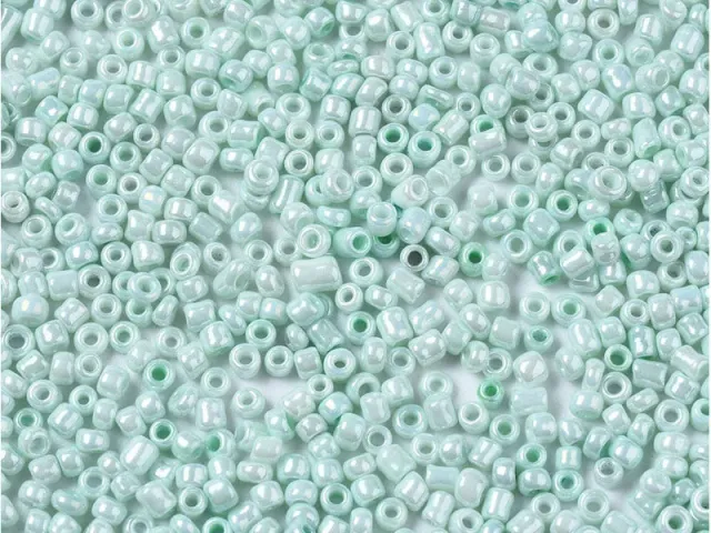 La Petite Epicerie Rocailles kralen mint glas 2 mm 10 gram