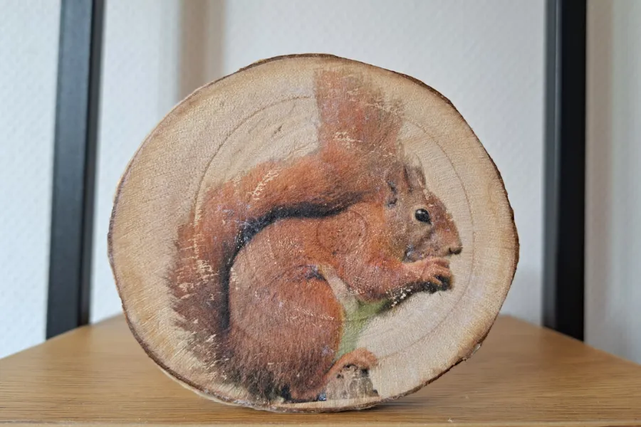 Astrid Brouwers decoupage lijmlak 100ml laklijm