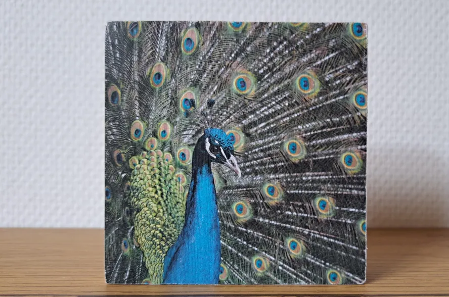 Astrid Brouwers decoupage lijmlak 100ml laklijm