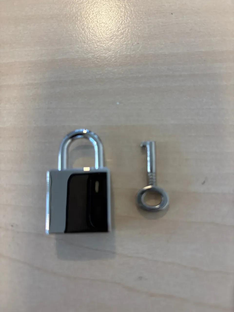 Leather House hangslot met sleutel zilver tasbeslag