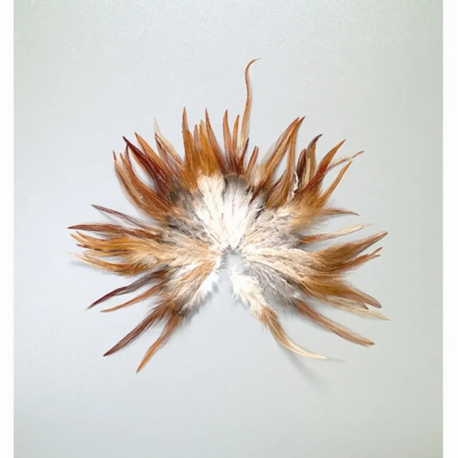 LTC-Leiden hanenveren naturel 4-8 cm 3 gram