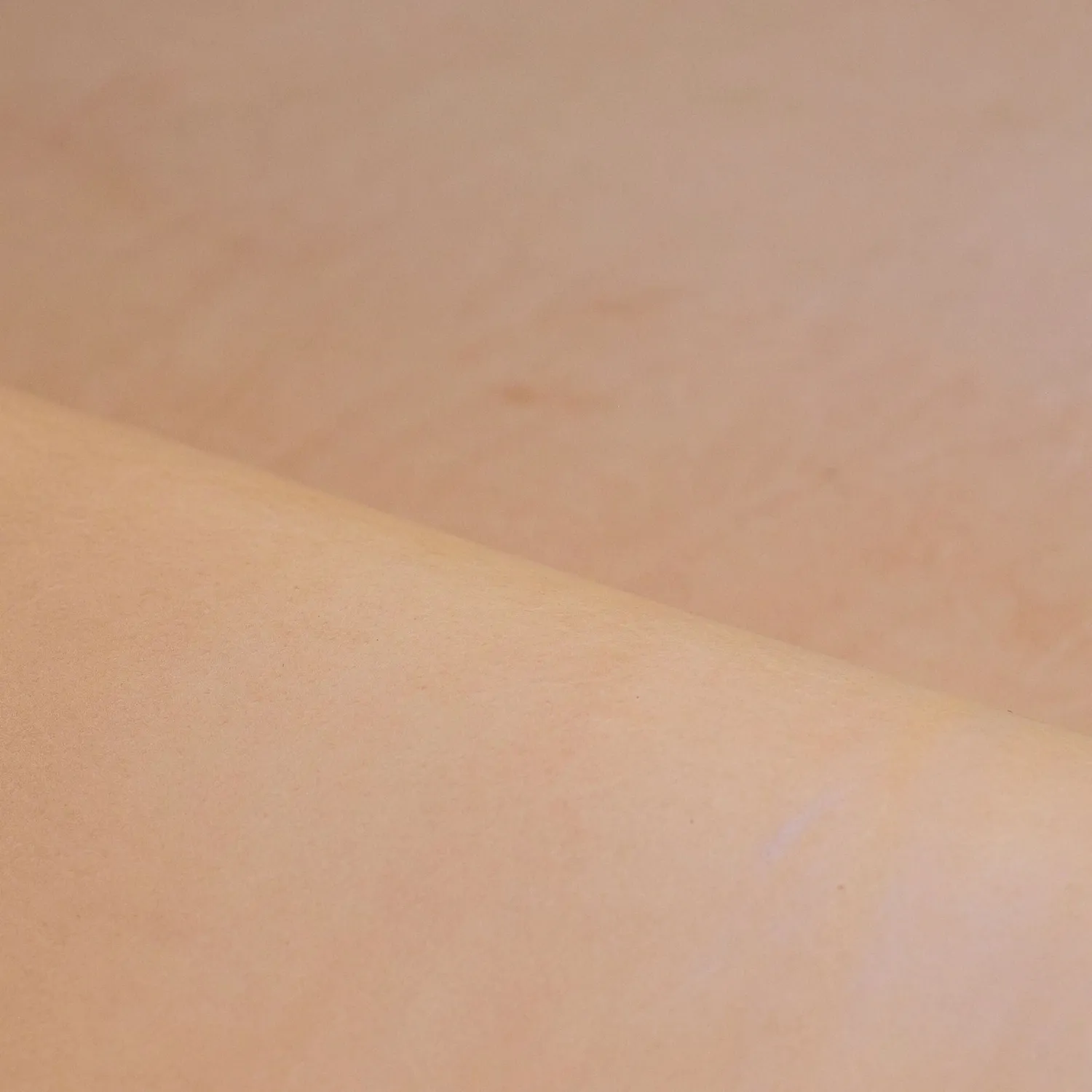 Leather House tuigleer naturel 3-3,4 mm whole shoulder