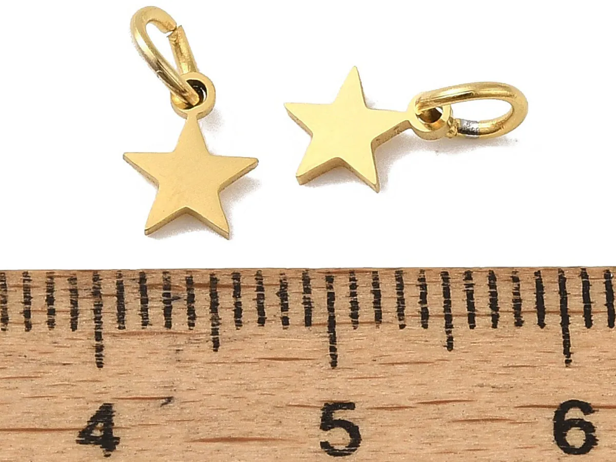 La Petite Epicerie bedel ster goud RVS 7 mm met ring